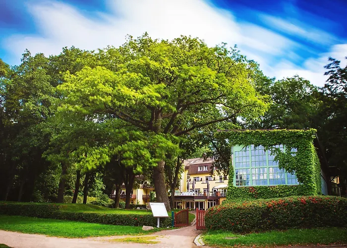 Kurhaus Am Inselsee 4*